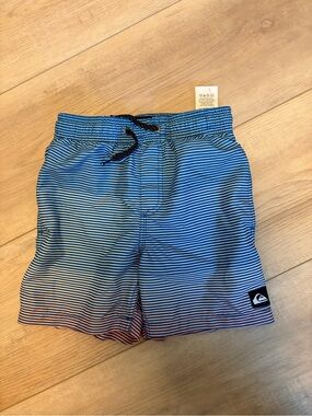 Quiksilver Boys' Blue Striped Swim Shorts